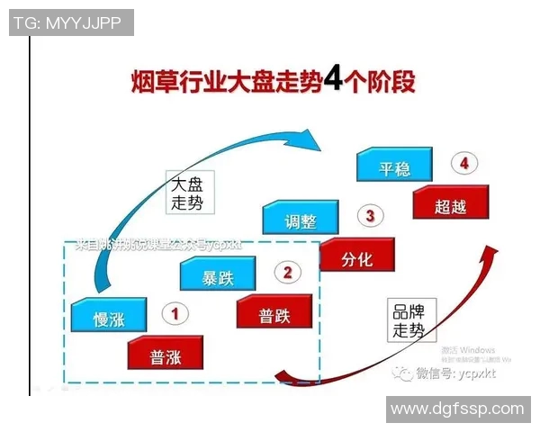 北京网球队实力分析与未来发展展望探讨