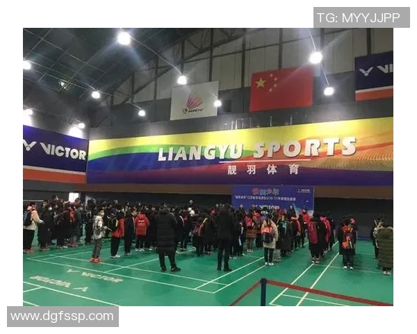 南京羽毛球队运营揭秘：深度解析背后的管理与发展策略