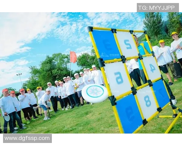 武汉飞盘队实力强劲荣登全国飞盘力量排行榜第九名