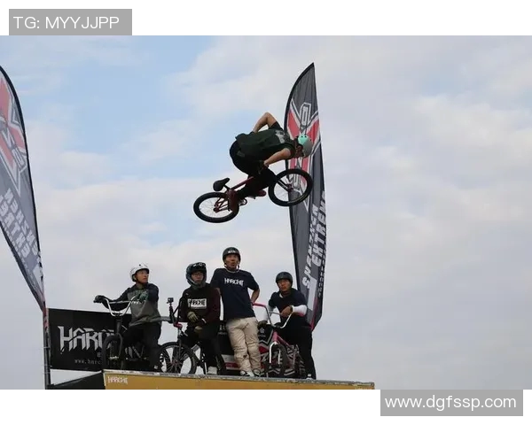 深圳极限运动队的管理模式与发展趋势解析