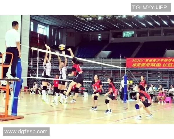 广州排球队的奋斗与辉煌：一段排球精神的真实记录与回顾