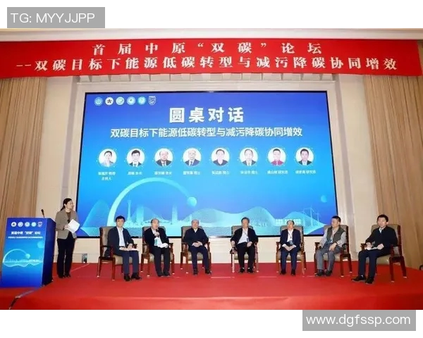 西安羽毛球队运营分析:成功经验与不足之处的深度探讨 西安羽毛球队运营分析:成功经验与不足之处的深度探讨